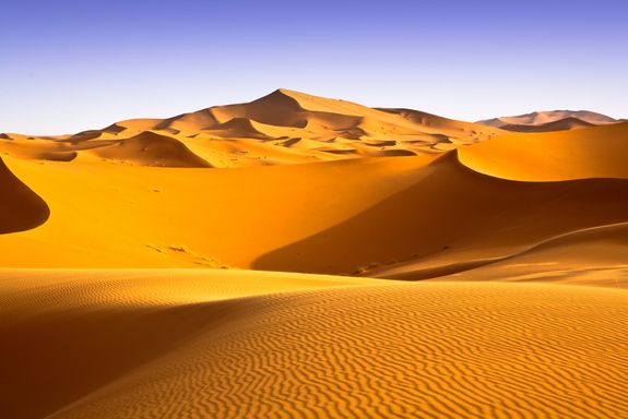 Tourists keep coming to the Sahara Desert