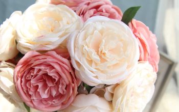 Opt for peonies bouquet to shower extra love on special occasions